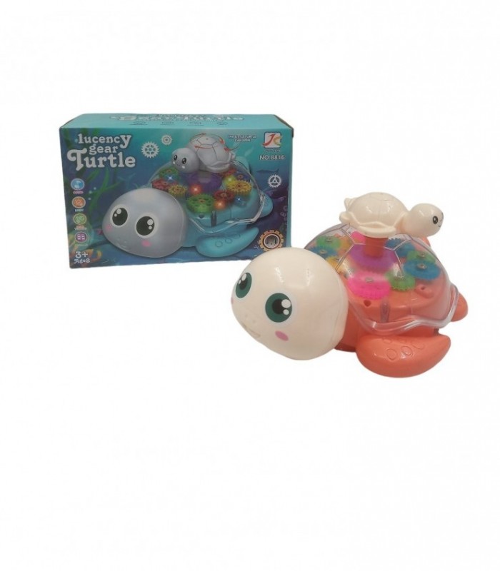 TORTUGA APILA C/ LUZ (8816)