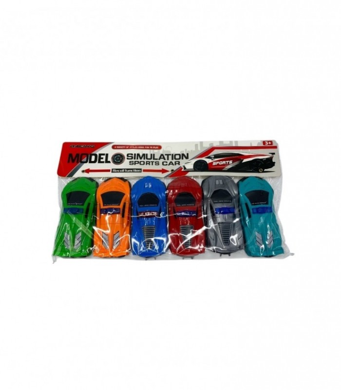 BOLSA AUTO 6PCS (YM-C21)
