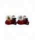NAVIDAD PELOTA DE VIDRIO 1PCS (SUP0355)