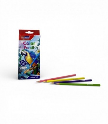 LAPIZ DE COLOR 12PCS (SG9712)