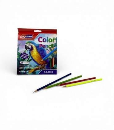 LAPIZ DE COLOR 24PCS (SG9724)