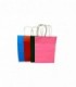 BOLSA P/ REG. 22-27 (SUP0779)