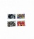 AGOGO COLORIDO 36PCS (50812)