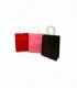 BOLSA P/ REG. 16-22 (SUP0778)
