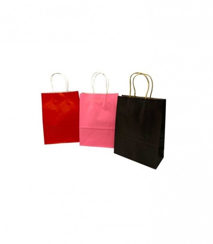 BOLSA P/ REG. 16-22 (SUP0778)