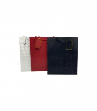 BOLSA P/ REG. 26-32 (SA215656-2)