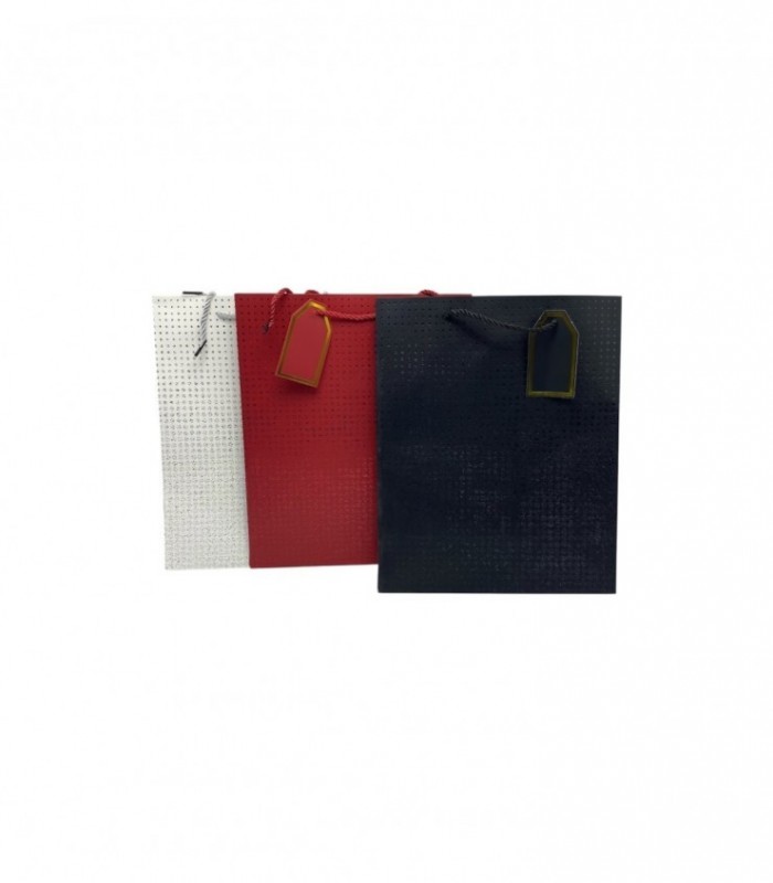 BOLSA P/ REG. 26-32 (SA215656-2)