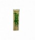 PALITO P/ ASADITO 100PCS (SUP0159)