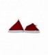 GORRA PAPA NOEL 1PCS (HH01)