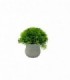 PLANTA ARTIFICIAL C/ PLAN.(SUP2102)