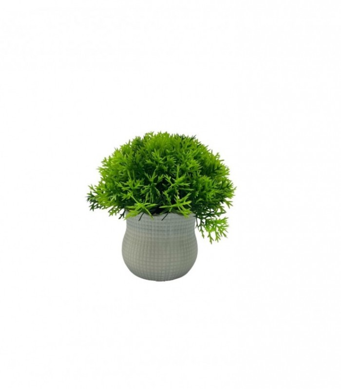PLANTA ARTIFICIAL C/ PLAN.(SUP2102)