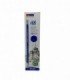LAPIZ 12PCS (SG656)
