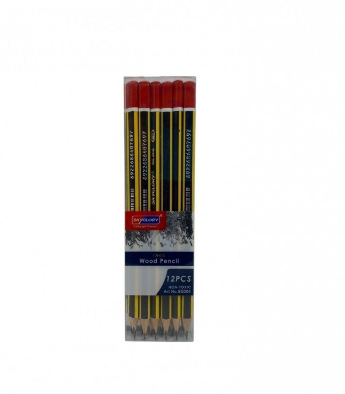 LAPIZ 12PCS (SG204)
